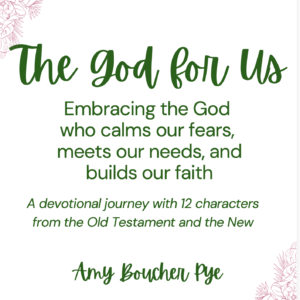 The God For Us: A devotional journey with 12 characters from the Old Testament and the New