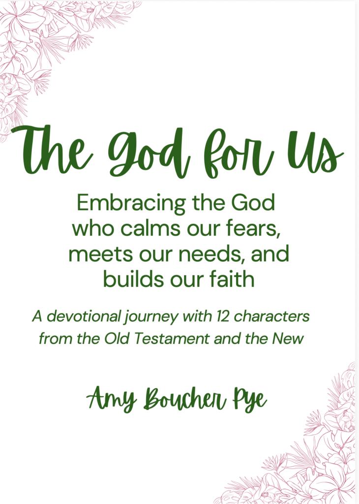 The God For Us: A devotional journey with 12 characters from the Old Testament and the New
